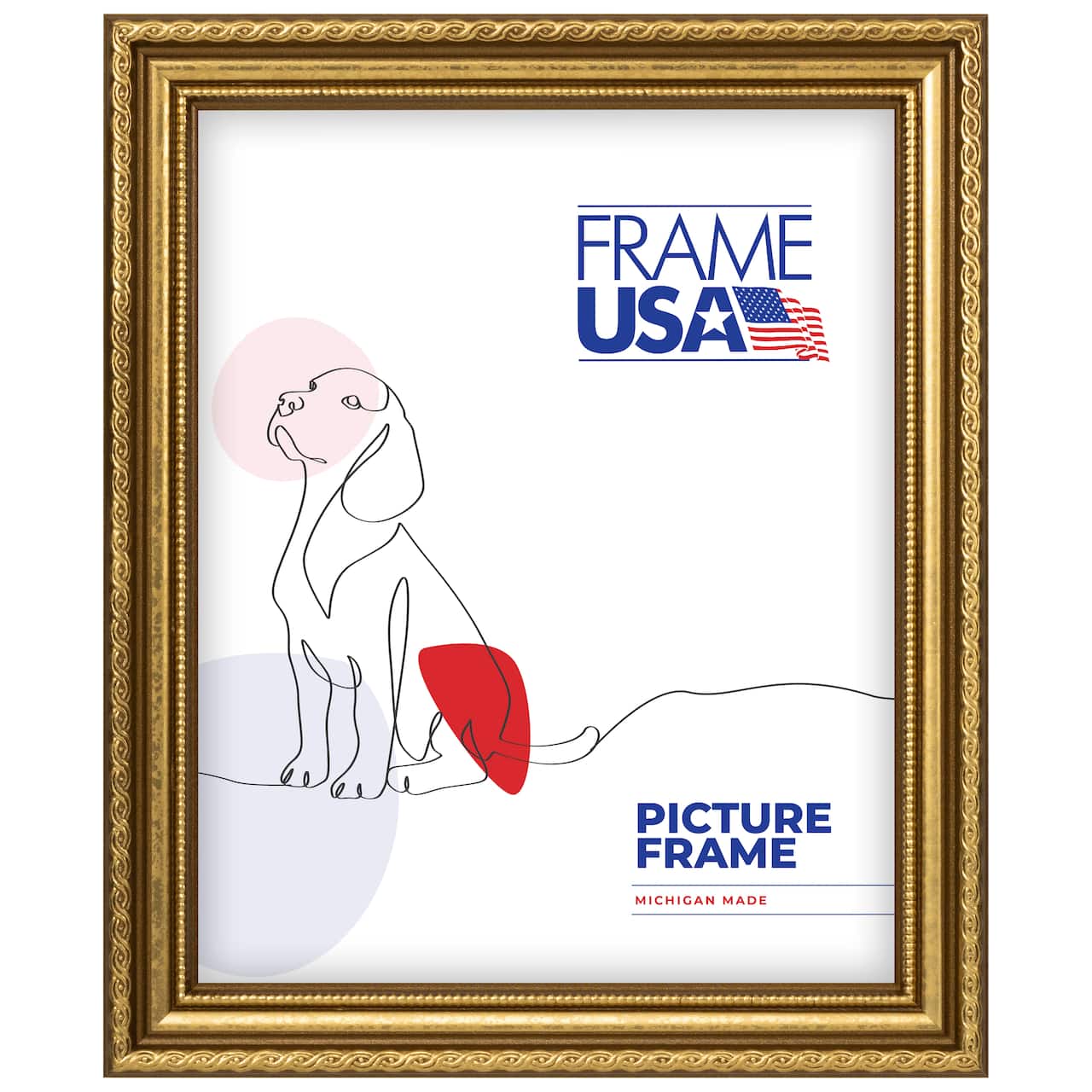 Frame USA American Value Medium Gold Single Image Picture Frame